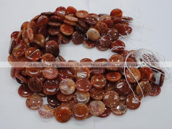 CAG631 15.5 inches 14mm coin natural fire agate beads wholesale