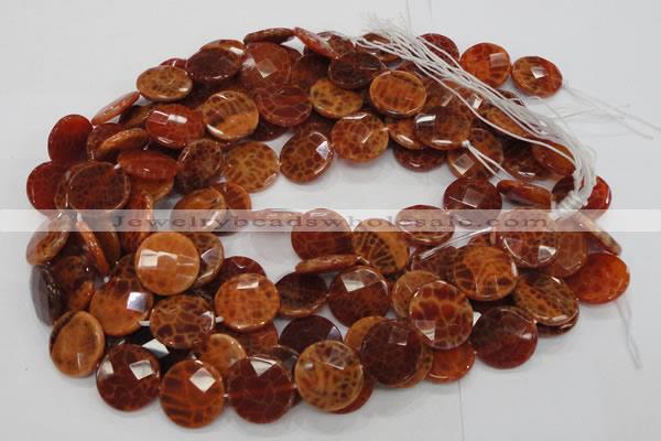 CAG638 15.5 inches 16mm faceted coin natural fire agate beads