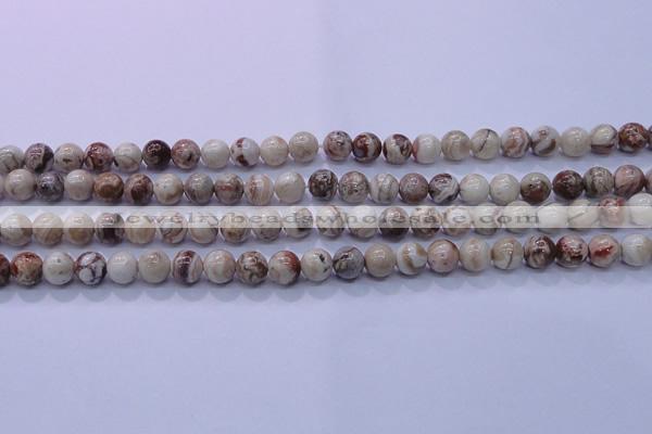 CAG6660 15.5 inches 4mm round Mexican crazy lace agate beads