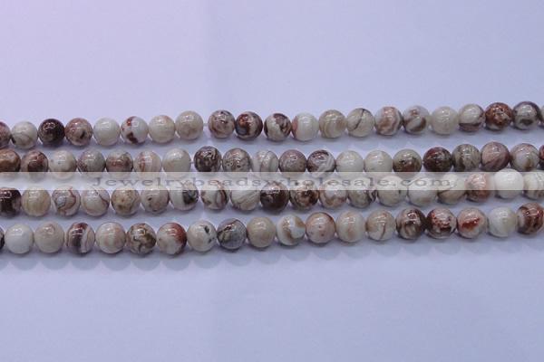 CAG6661 15.5 inches 6mm round Mexican crazy lace agate beads