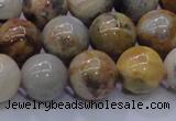 CAG6674 15.5 inches 12mm round natural crazy lace agate beads