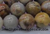 CAG6675 15.5 inches 14mm round natural crazy lace agate beads