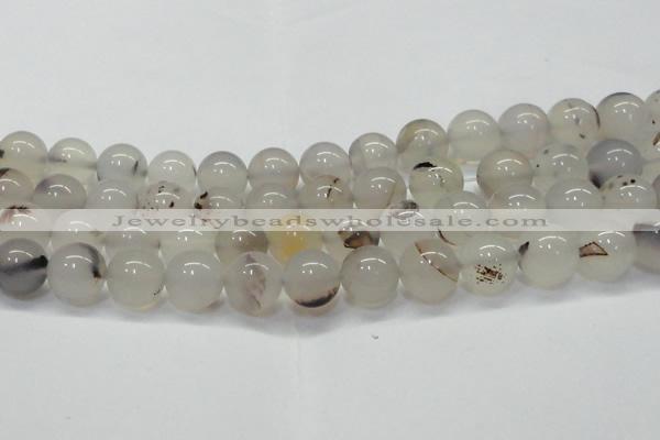 CAG6762 15 inches 10mm round Montana agate beads wholesale