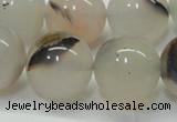 CAG6764 15 inches 14mm round Montana agate beads wholesale