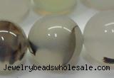 CAG6767 15 inches 20mm round Montana agate beads wholesale