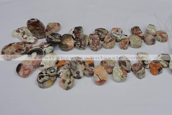 CAG7051 Top drilled 15*20mm - 25*35mm freeform ocean agate beads