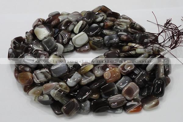 CAG739 15.5 inches 14*18mm rectangle botswana agate beads wholesale