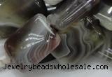 CAG740 15.5 inches 16*20mm rectangle botswana agate beads wholesale