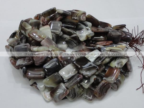 CAG740 15.5 inches 16*20mm rectangle botswana agate beads wholesale