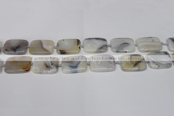 CAG7423 15.5 inches 18*25mm rectangle Montana agate beads