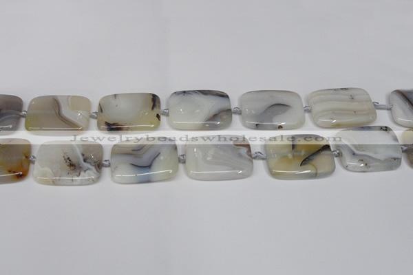 CAG7424 15.5 inches 20*30mm rectangle Montana agate beads