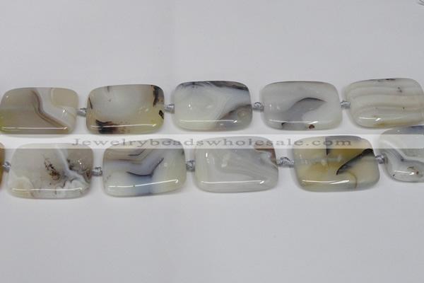 CAG7426 15.5 inches 30*40mm rectangle Montana agate beads