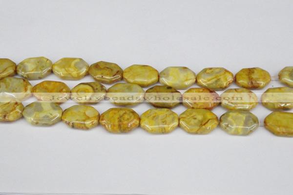 CAG7437 15.5 inches 20*30mm octagonal crazy lace agate beads