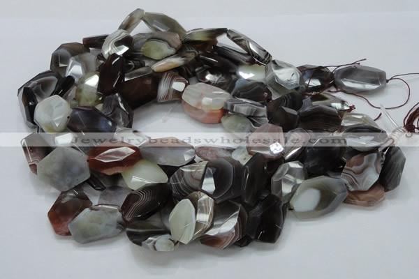 CAG761 15.5 inches 18*25mm faceted freeform botswana agate beads