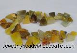 CAG8543 Top drilled 15*20mm - 25*30mm freeform dragon veins agate beads