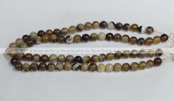 CAG938 16 inches 10mm round madagascar agate gemstone beads