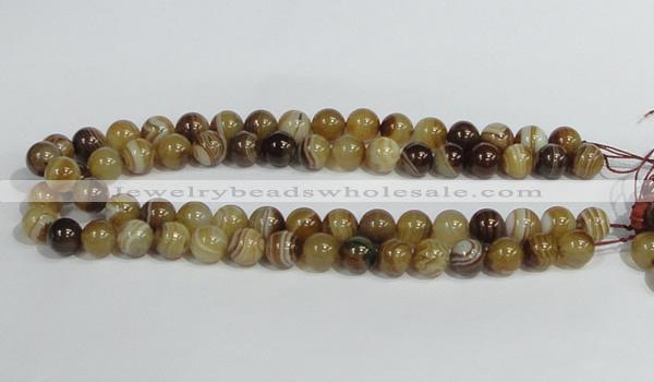 CAG939 16 inches 12mm round madagascar agate gemstone beads