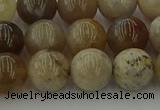 CAG9403 15.5 inches 10mm round ocean fossil agate beads wholesale