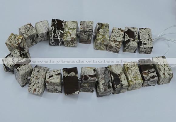 CAG9750 15.5 inches 15*28mm - 17*30mm cuboid ocean agate beads