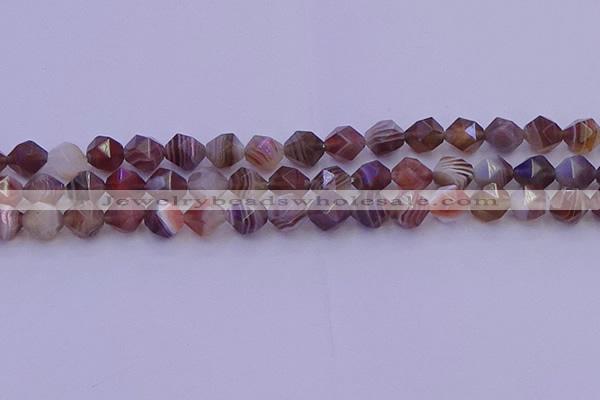 CAG9793 15.5 inches 10mm faceted nuggets botswana agate beads