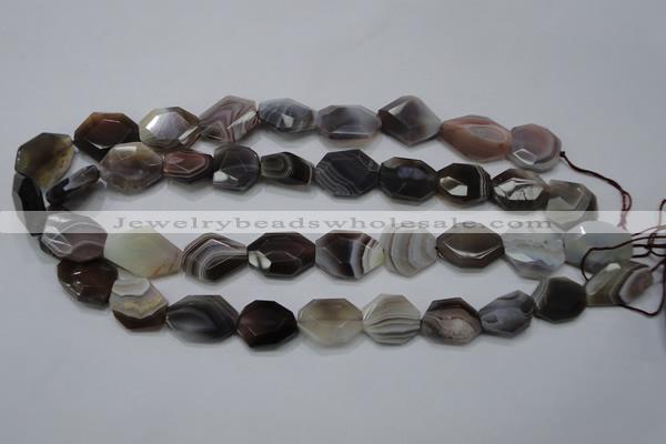 CAG990 15.5 inches 15*20mm faceted freeform botswana agate beads