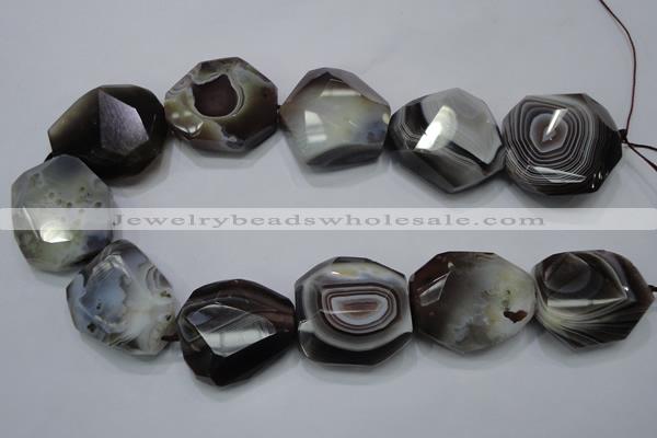 CAG992 15.5 inches 30*40mm faceted freeform botswana agate beads