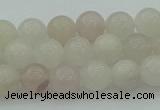 CAJ461 15.5 inches 6mm round purple aventurine beads wholesale