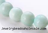 CAM19 15.5 inches 12mm natural amazonite round beads Wholesale