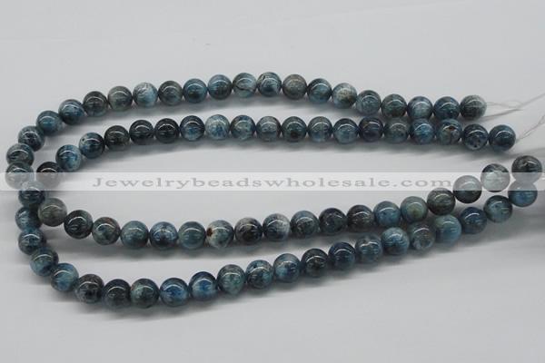 CAP06 15.5 inches 10mm round apatite gemstone beads wholesale