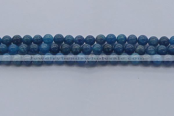 CAP362 15.5 inches 8mm round apatite gemstone beads wholesale