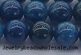 CAP364 15.5 inches 12mm round apatite gemstone beads wholesale