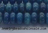 CAP370 15.5 inches 5*8mm rondelle apatite gemstone beads