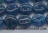 CAP381 15.5 inches 10mm flat round apatite gemstone beads