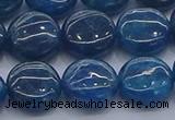 CAP382 15.5 inches 12mm flat round apatite gemstone beads