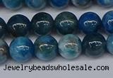 CAP412 15.5 inches 8mm round apatite gemstone beads wholesale