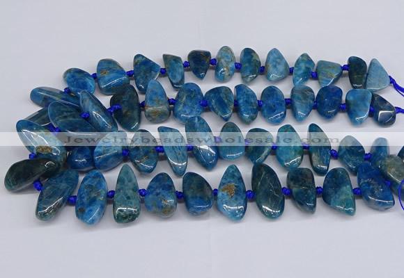 CAP533 15.5 inches 10*20mm - 15*35mm freeform apatite beads