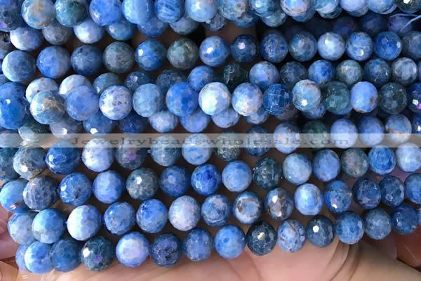 CAP595 15.5 inches 9mm faceted round apatite gemstone beads