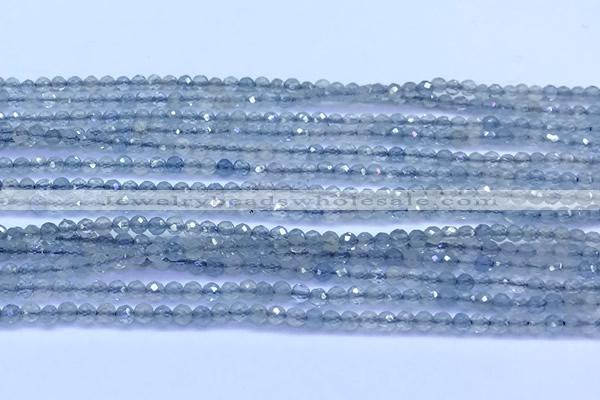 CAQ960 15 inches 2mm faceted round aquamarine beads