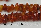 CAR115 16 inches 3*6mm - 4*8mm natural amber chips beads