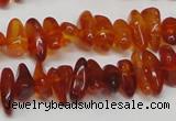 CAR116 16 inches 3*8mm - 4*10mm natural amber chips beads