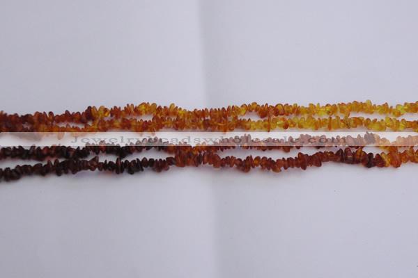 CAR202 24 inches 3*6mm natural amber chips beads wholesale