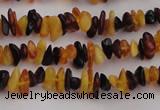 CAR204 24 inches 3*8mm natural amber chips beads wholesale