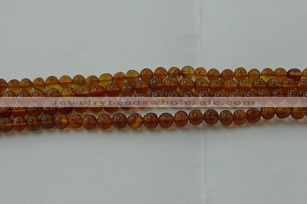 CAR526 15.5 inches 5mm - 6mm round natural amber beads wholesale