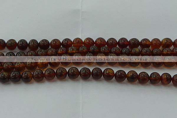 CAR528 15.5 inches 8mm - 9mm round natural amber beads wholesale