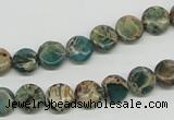 CAT5007 15.5 inches 8mm flat round natural aqua terra jasper beads