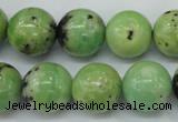 CAU215 15.5 inches 14mm round Australia chrysoprase beads