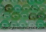 CAU351 15.5 inches 6mm round Australia chrysoprase beads