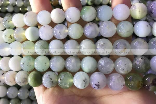 CAU463 15.5 inches 11mm - 12mm round Australia chrysoprase beads