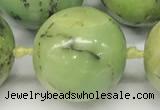 CAU544 15.5 inches 16mm round Australia chrysoprase gemstone beads