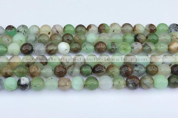 CAU551 15 inches 8mm round Australia chrysoprase beads